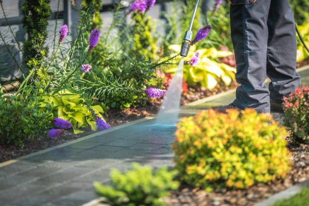 Trusted Palermo, NJ Pressure Washing Services Experts